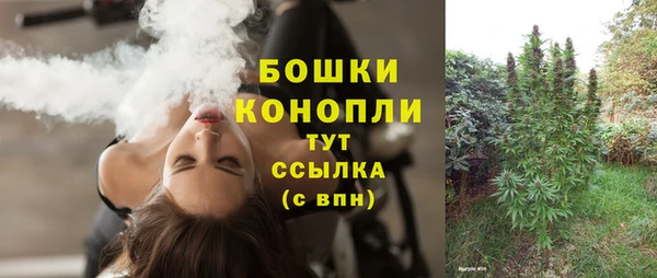 гашик Лагань