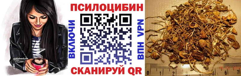 МЕГА   Кондрово  Псилоцибиновые грибы мицелий 